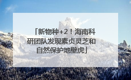 新物种+2！海南科研团队发现素贞灵芝和自然保护地壁虎