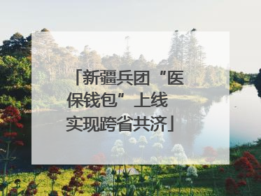 新疆兵团“医保钱包”上线 实现跨省共济