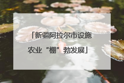 新疆阿拉尔市设施农业“棚”勃发展