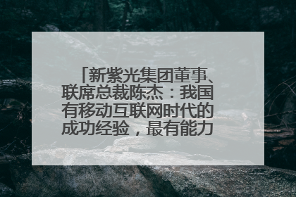 新紫光集团董事、联席总裁陈杰：我国有移动互联网时代的成功经验，最有能力做好AI应用创新