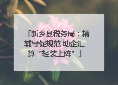 新乡县税务局：精辅导促规范 助企汇算“轻装上阵”