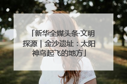 新华全媒头条·文明探源｜金沙遗址：太阳神鸟起飞的地方