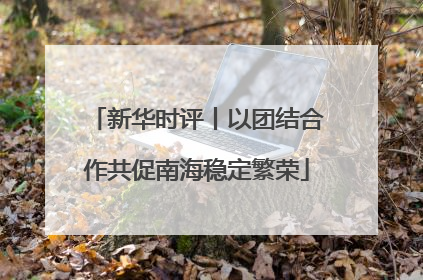 新华时评丨以团结合作共促南海稳定繁荣