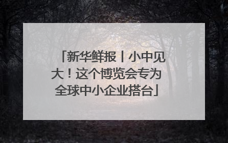新华鲜报丨小中见大！这个博览会专为全球中小企业搭台
