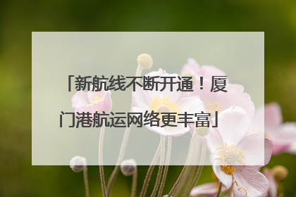 新航线不断开通！厦门港航运网络更丰富