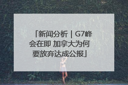 新闻分析｜G7峰会在即 加拿大为何要放弃达成公报