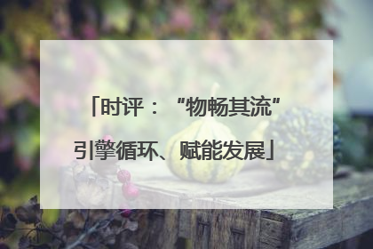 时评：“物畅其流”引擎循环、赋能发展