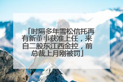 时隔多年雪松信托再有新董事获准上任，来自二股东江西金控，前总裁上月刚被罚