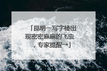 昆明一写字楼出现密密麻麻的飞虫，专家提醒→