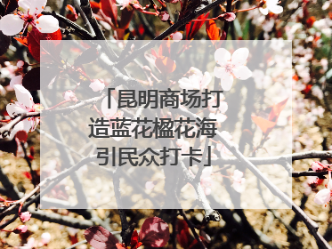 昆明商场打造蓝花楹花海引民众打卡