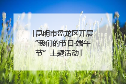 昆明市盘龙区开展“我们的节日·端午节”主题活动