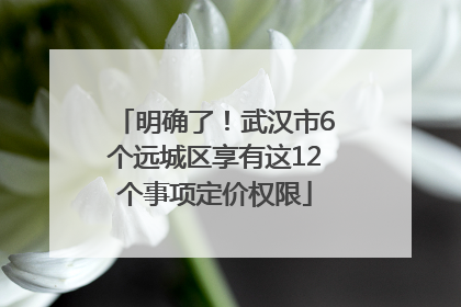 明确了！武汉市6个远城区享有这12个事项定价权限
