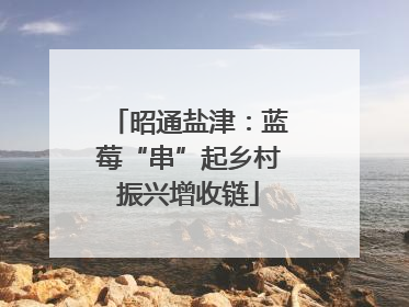 昭通盐津：蓝莓“串”起乡村振兴增收链