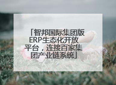 智邦国际集团版ERP生态化开放平台，连接百家集团产业链系统