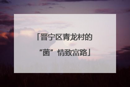 晋宁区青龙村的“菌”情致富路