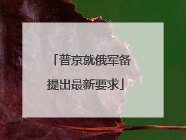 普京就俄军备提出最新要求