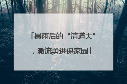 暴雨后的“清道夫”，激流勇进保家园