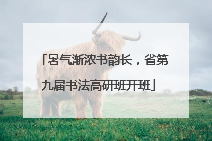 暑气渐浓书韵长，省第九届书法高研班开班