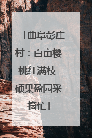 曲阜彭庄村：百亩樱桃红满枝 硕果盈园采摘忙