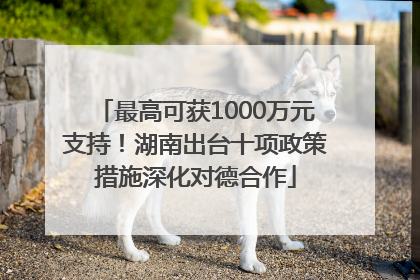 最高可获1000万元支持！湖南出台十项政策措施深化对德合作