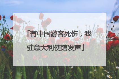 有中国游客死伤，我驻意大利使馆发声