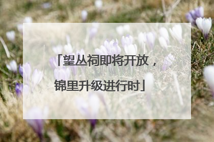 望丛祠即将开放，锦里升级进行时