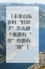 未来山东农村“好房子”怎么建？既要有“里”也要有“面”