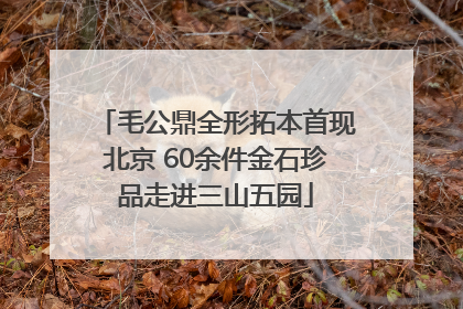 毛公鼎全形拓本首现北京 60余件金石珍品走进三山五园