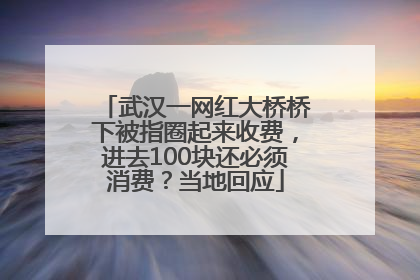 武汉一网红大桥桥下被指圈起来收费，进去100块还必须消费？当地回应