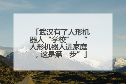 武汉有了人形机器人“学校”，“人形机器人进家庭，这是第一步”