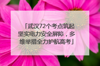武汉72个考点筑起坚实电力安全屏障，多维举措全力护航高考