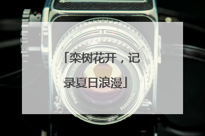 栾树花开，记录夏日浪漫