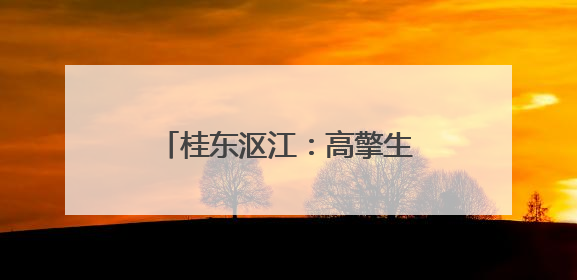 桂东沤江：高擎生态旗 描绘新画卷