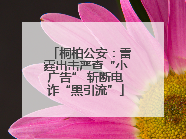 桐柏公安：雷霆出击严查“小广告” 斩断电诈“黑引流”