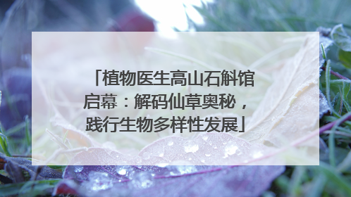 植物医生高山石斛馆启幕：解码仙草奥秘，践行生物多样性发展