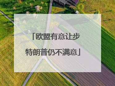 欧盟有意让步 特朗普仍不满意