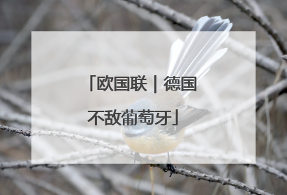 欧国联｜德国不敌葡萄牙