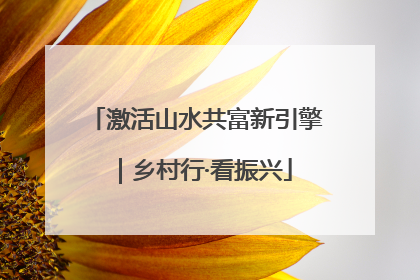 激活山水共富新引擎｜乡村行·看振兴
