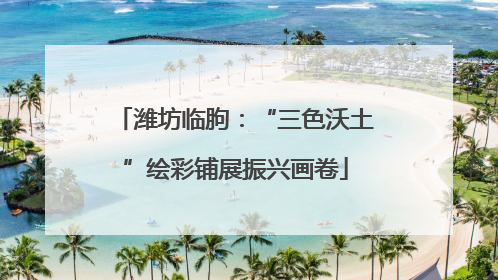 潍坊临朐：“三色沃土”绘彩铺展振兴画卷