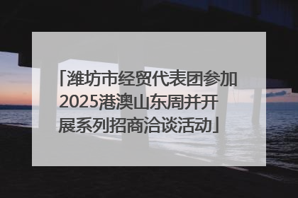 潍坊市经贸代表团参加2025港澳山东周并开展系列招商洽谈活动