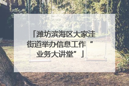 潍坊滨海区大家洼街道举办信息工作“业务大讲堂”
