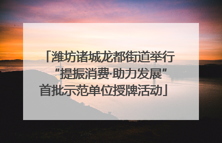 潍坊诸城龙都街道举行“提振消费·助力发展”首批示范单位授牌活动