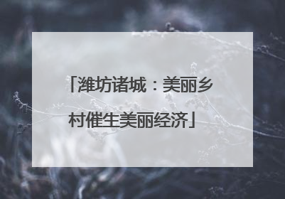 潍坊诸城：美丽乡村催生美丽经济