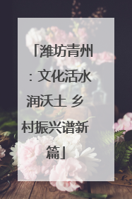 潍坊青州：文化活水润沃土 乡村振兴谱新篇