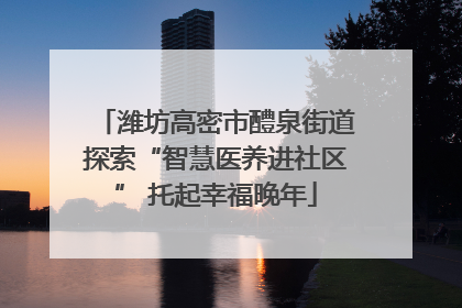 潍坊高密市醴泉街道探索“智慧医养进社区” 托起幸福晚年