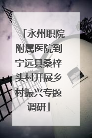 永州职院附属医院到宁远县桑梓头村开展乡村振兴专题调研