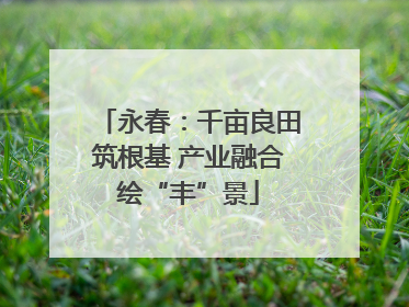 永春：千亩良田筑根基 产业融合绘“丰”景