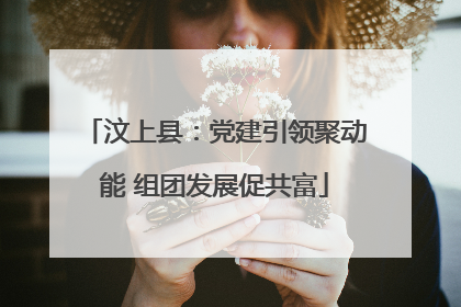汶上县：党建引领聚动能 组团发展促共富