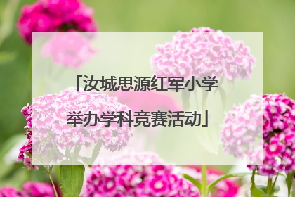 汝城思源红军小学举办学科竞赛活动