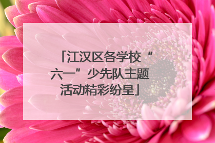 江汉区各学校“六一”少先队主题活动精彩纷呈